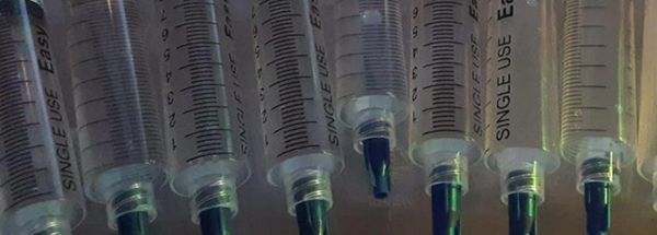 best site to get mushroom spore syringe