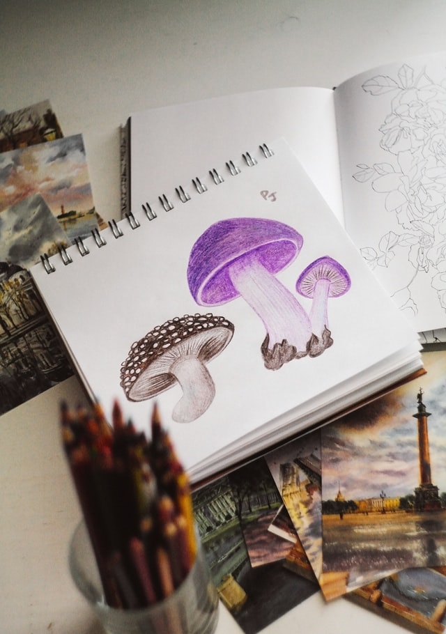A sketchpad with drawings of mushrooms.