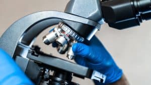 amateur microscopy tips